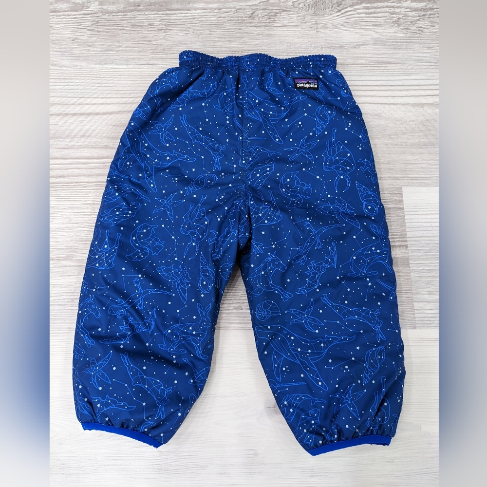 Patagonia toddler snow pants